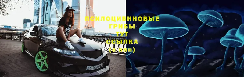 Галлюциногенные грибы Cubensis  Бабушкин 